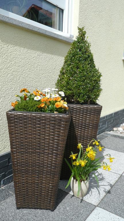 Blackforest Apartment Freudenstadt Bagian luar foto
