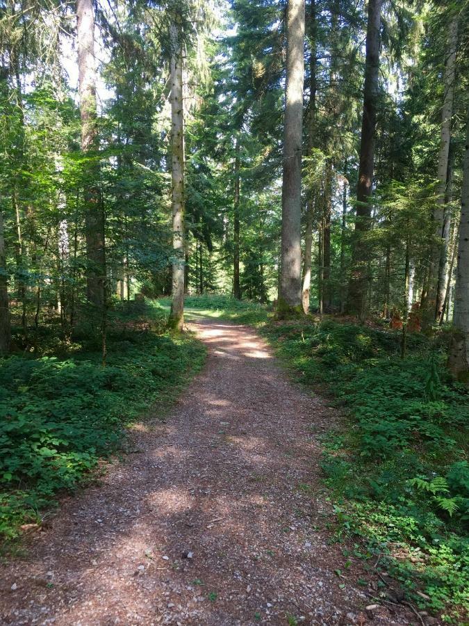 Blackforest Apartment Freudenstadt Bagian luar foto